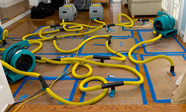 Professional Burst Pipe Water Damage technician working in Fredonia, KS